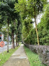 19 Nassim (D10), Apartment #440012811